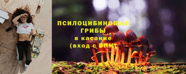 бутират Бородино
