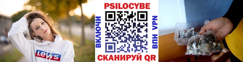 даркнет наркотические препараты  Нерчинск  Галлюциногенные грибы MAGIC MUSHROOMS 